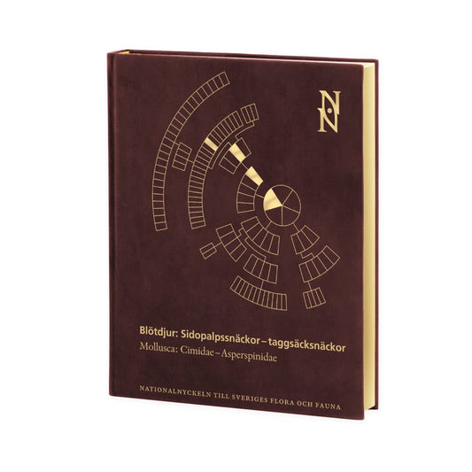 Lundin, Kennet | Malmberg , Klas | Pleijel, Fredrik | Blötdjur : Sidopalpssnäckor – taggsäcksnäckor. Mollusca: Cimidae–A...