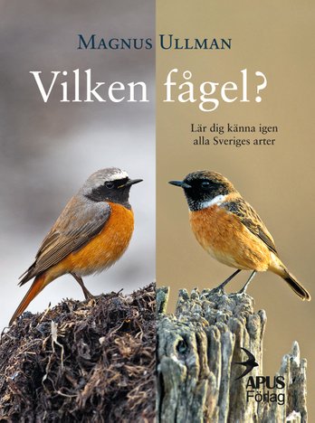 Ullman, Magnus | Vilken fågel? Lär dig känna igen alla Sveriges arter