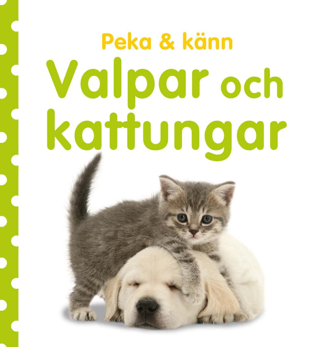 Sirett, Dawn | Peka & känn. Valpar och kattungar : Valpar och kattungar