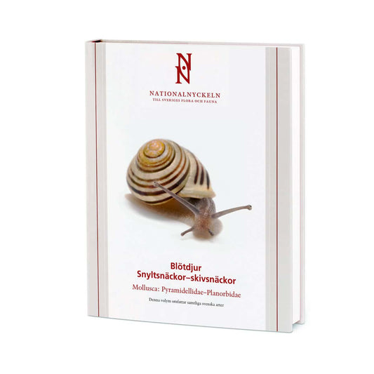 Proschwitz, Ted von | Roth, Jonas | Lundin, Kennet | Blötdjur : Snyltsnäckor – skivsnäckor: Mollusca Pyramidellidae–Plan...