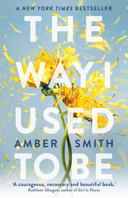 Smith, Amber | The Way I Used to Be