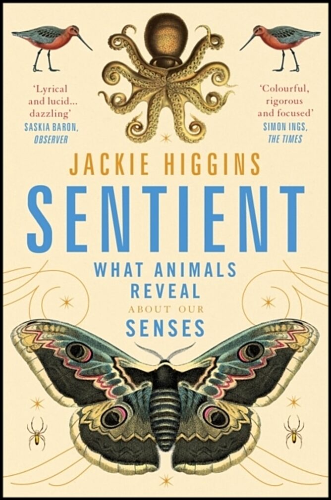 Higgins, Jackie | Sentient : What Animals Reveal About Human Senses