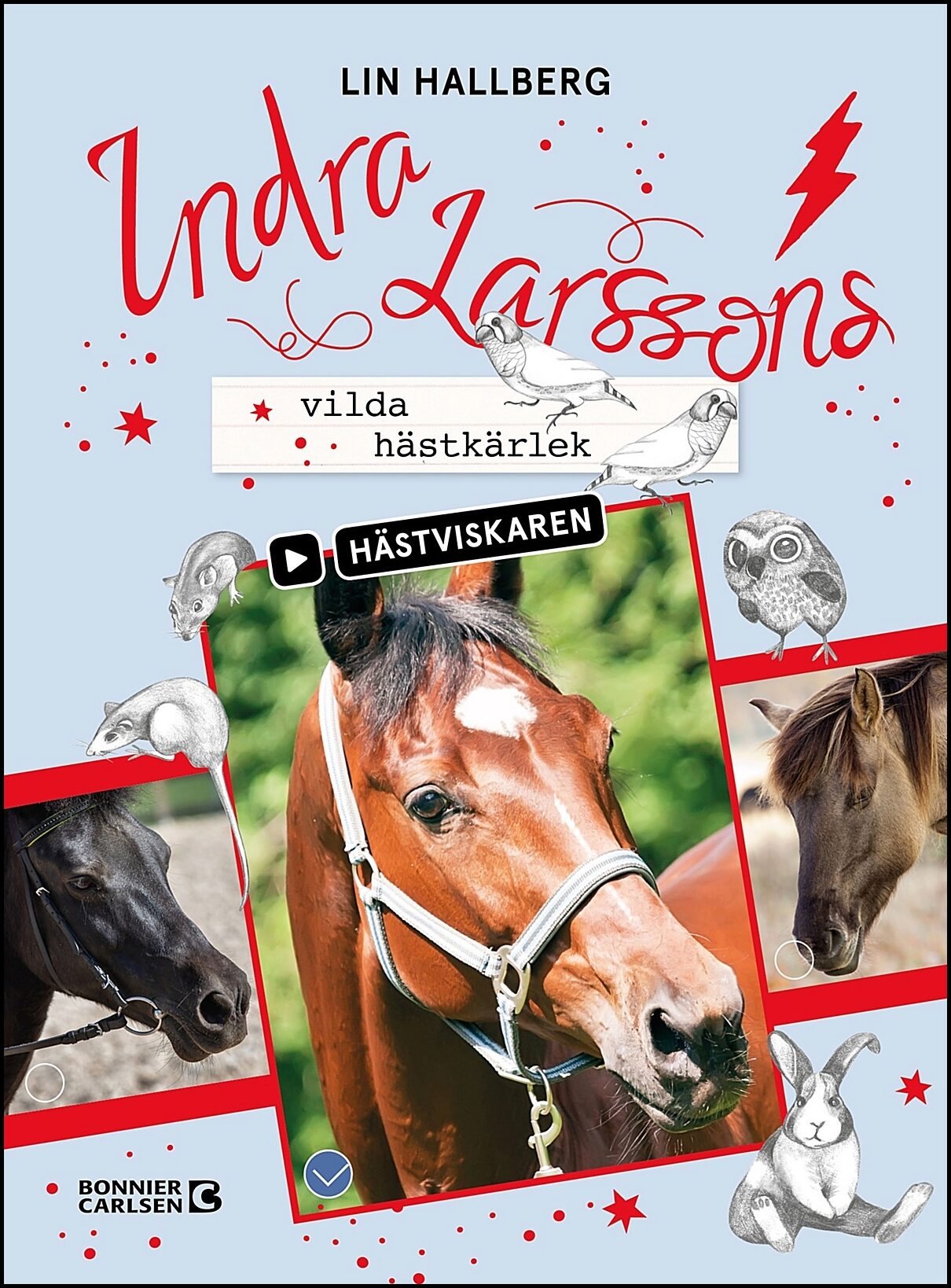Hallberg, Lin | Indra Larssons vilda hästkärlek