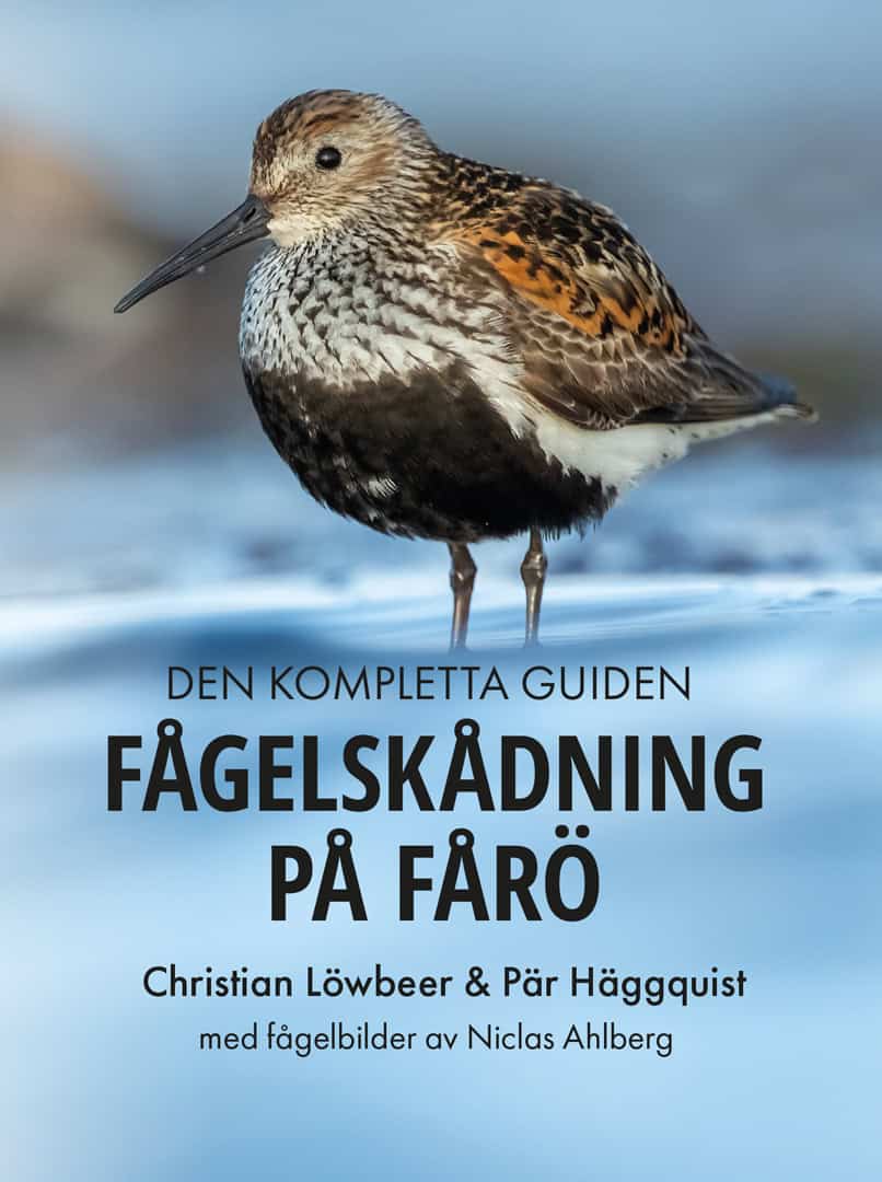 Löwbeer, Christian | Häggquist, Pär | Ahlberg, Niclas [red.] | Fågelskådning på Fårö