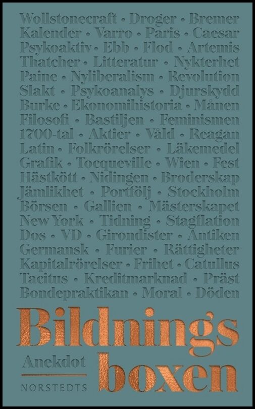 Halldenius, Lena | Berg, Daniel | Larsson Heidenblad, David | Dirke, Karin | Blennow, Anna | Bildningsboxen