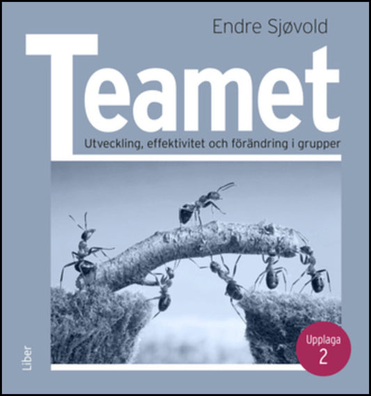 Sjøvold, Endre | Teamet : Utveckling, effektivitet och förändring i grupper