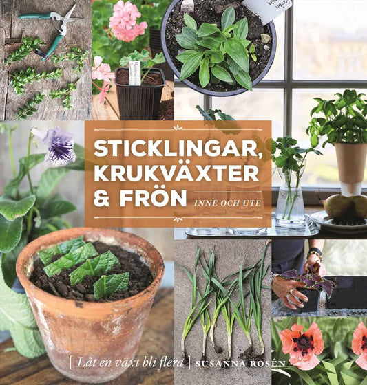 Rosén, Susanna | Sticklingar, krukväxter & frön : Inne och ute