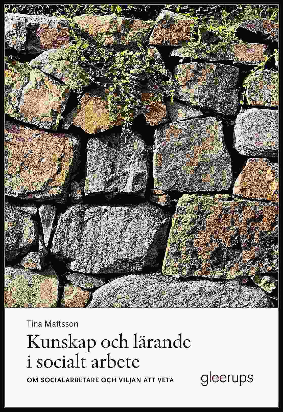 Mattsson, Tina | Kunskap och lärande i socialt arbete : Om socialarbetare och viljan att veta