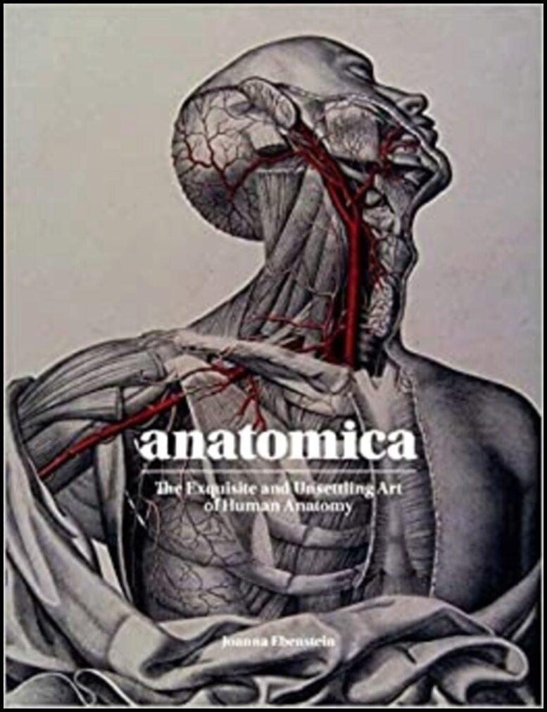 Ebenstein, Joanna | Anatomica