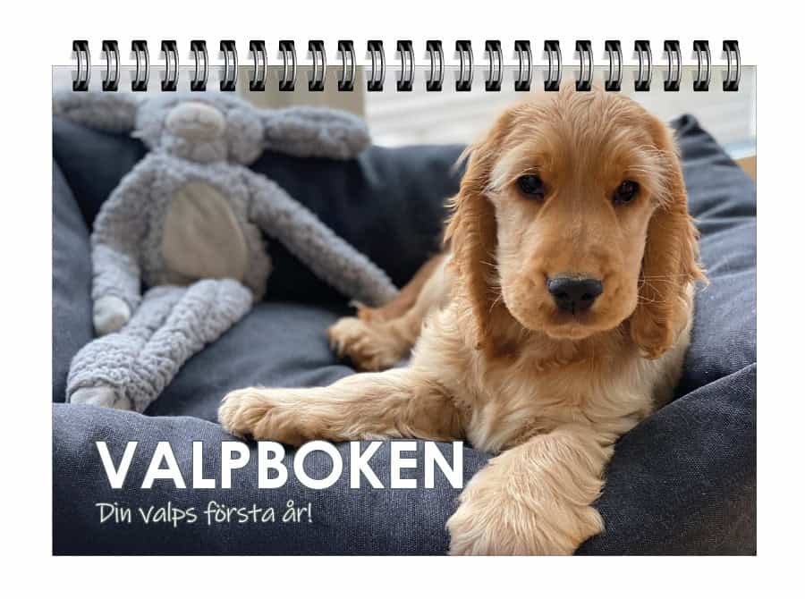 Valpboken : Din hunds första år