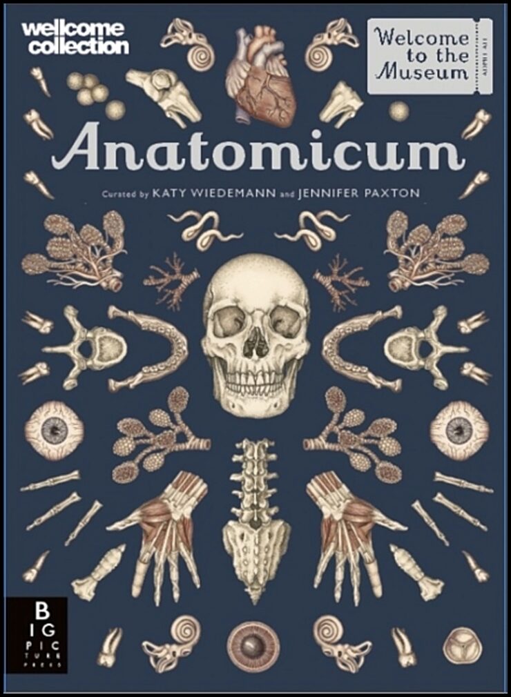 Paxton, Jennifer | Anatomicum