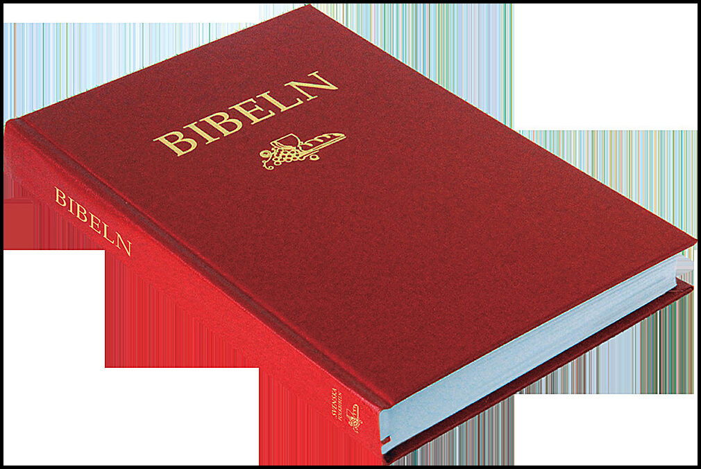 Bok av : Svenska Folkbibeln 2015 Slimline, röd i hårdpärm – bok.hstrom ...