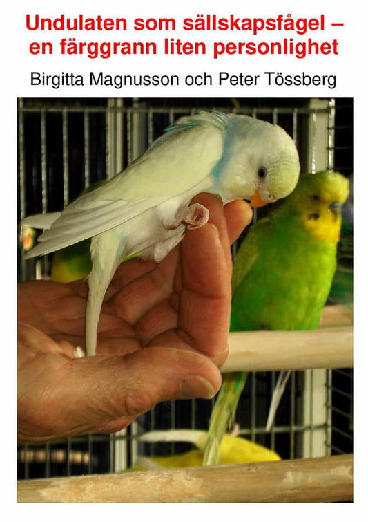 Tössberg, Peter | Magnusson, Birgitta | Undulaten som sällskapsfågel : En färggrann liten personlighet