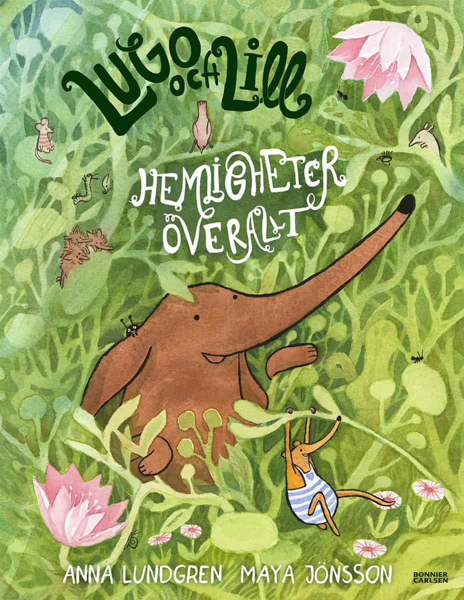 Lundgren, Anna | Hemligheter överallt
