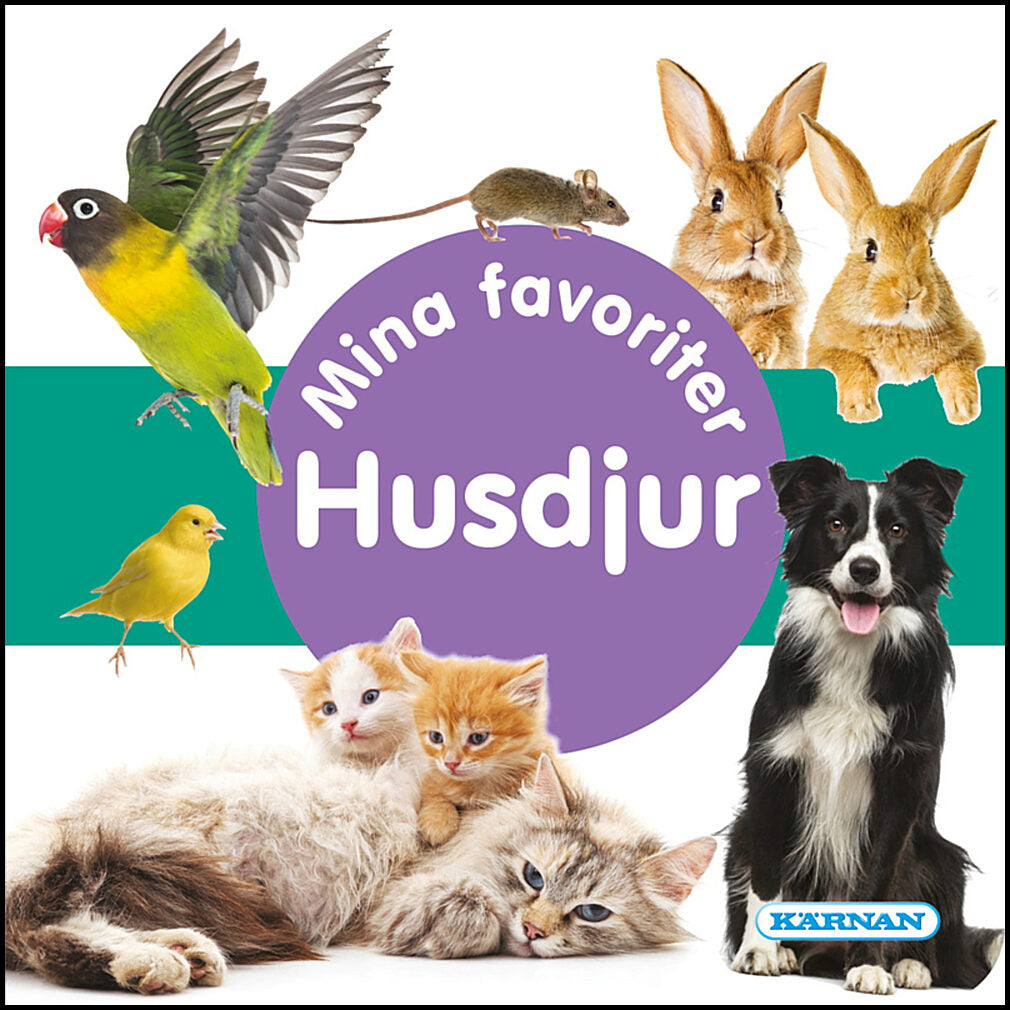 Mina favoriter Husdjur