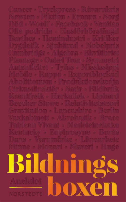 Ravanis, Julia | Fredrikzon, Johan | Runefelt, Leif | Nilsson, Malin | Bharathi Larsson, Åsa | Bildningsboxen 2