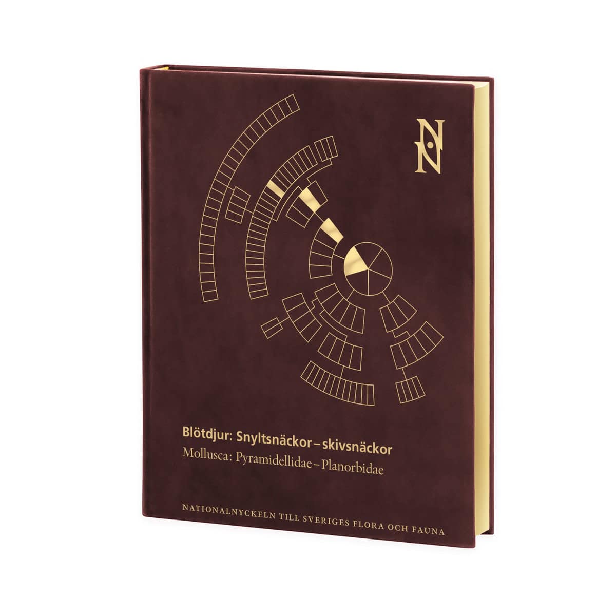 Proschwitz, Ted von | Roth, Jonas | Lundin, Kennet | Blötdjur : Snyltsnäckor – skivsnäckor: Mollusca Pyramidellidae–Plan...