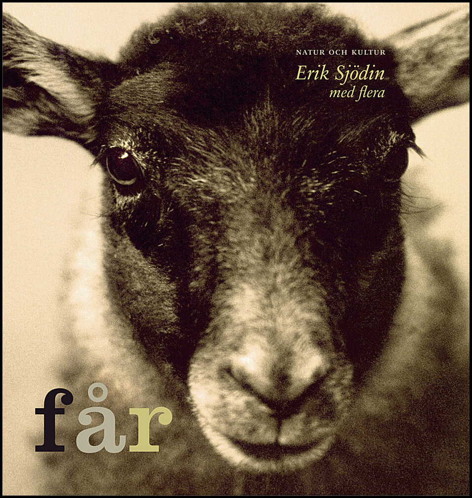 Sjödin, Erik| Hammarberg, Karl-Erik| Sundås, Sten | Får
