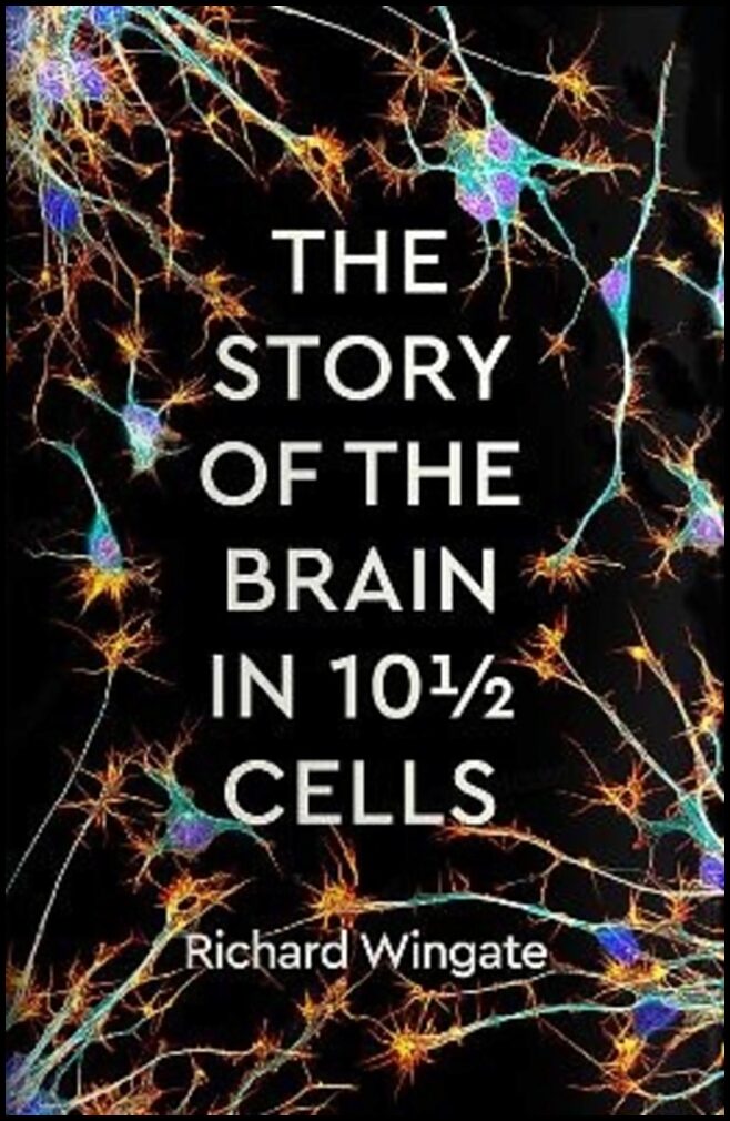 Wingate, Richard | The Story of the Brain in 101/2 Cells