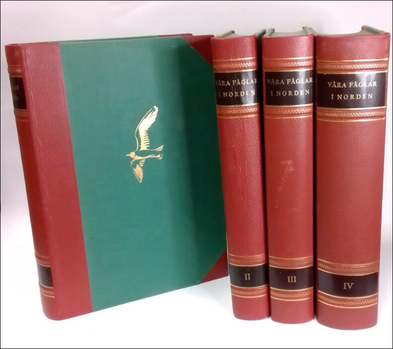 Holmström, Carl Torsten | Våra fåglar i Norden