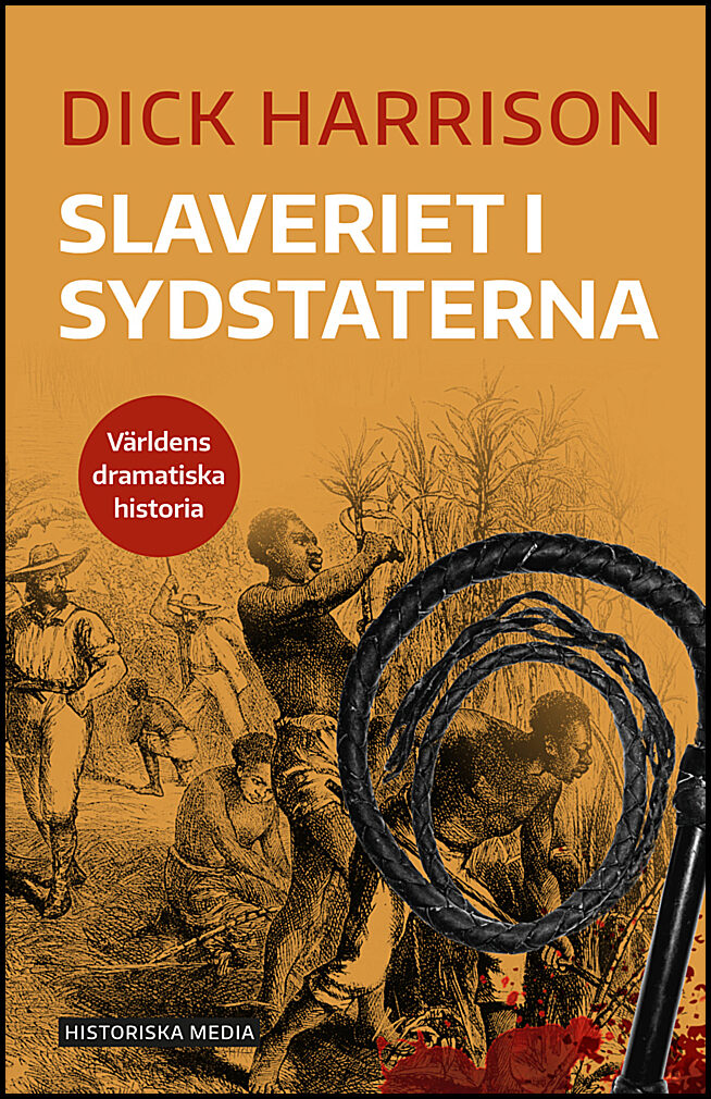 Harrison, Dick | Slaveriet i Sydstaterna
