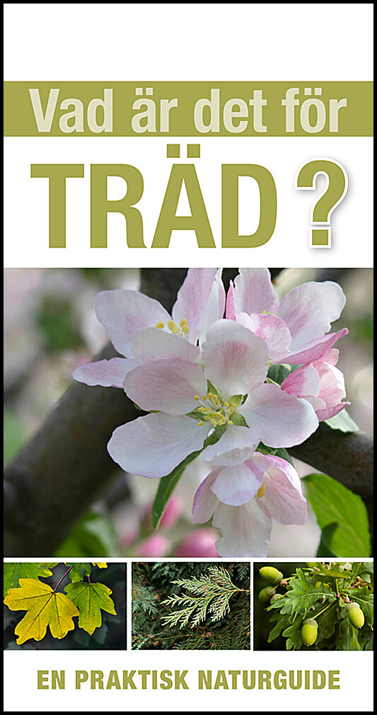 Russell, Tony | Vad är det för träd?