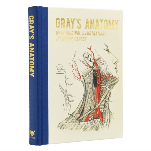 Gray, Henry | Gray's Anatomy