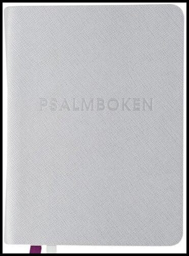 Den svenska psalmboken med tillägg (silver)