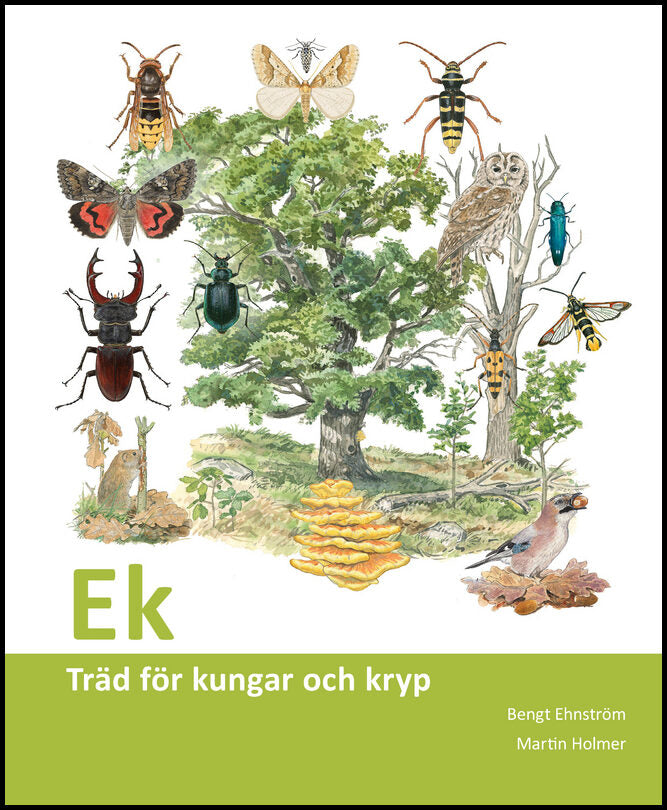 Ehnström, Bengt | Ek : Träd för kungar och kryp