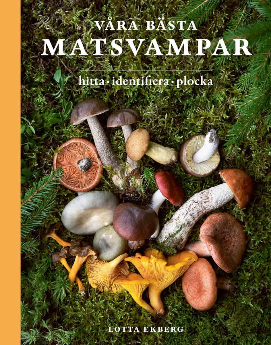 Ekberg, Lotta | Våra bästa matsvampar : Hitta, identifiera, plocka