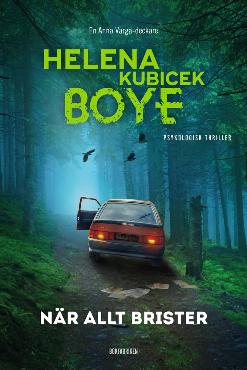 Kubicek Boye, Helena | När allt brister