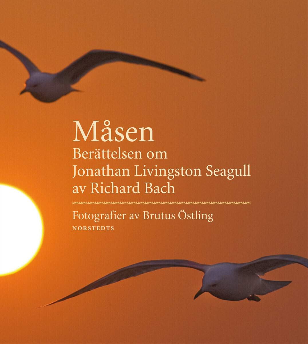 Bach, Richard | Måsen : Berättelsen om Jonathan Livingston Seagull