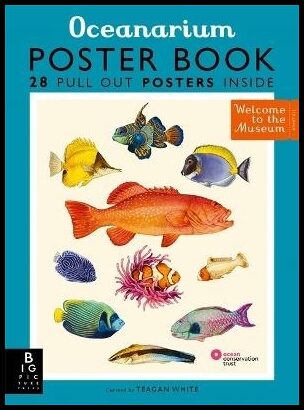 Trinick, Loveday | Oceanarium Poster Book