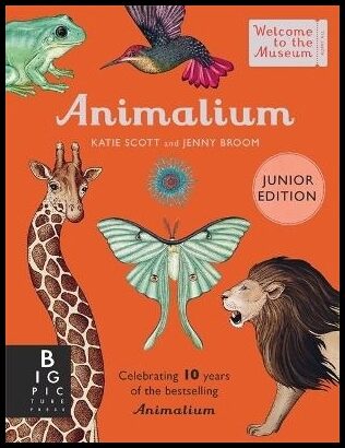 Animalium (Junior Edition)