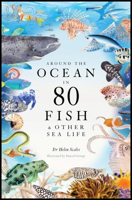 Scales, Helen | Around the Ocean in 80 Fish and other Sea Life