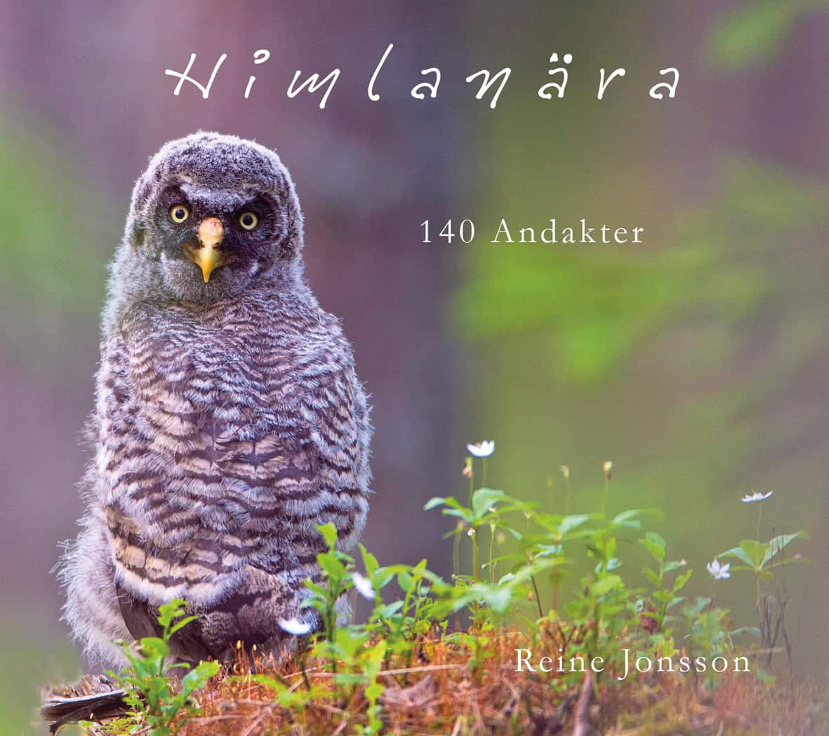 Jonsson, Reine | Himlanära