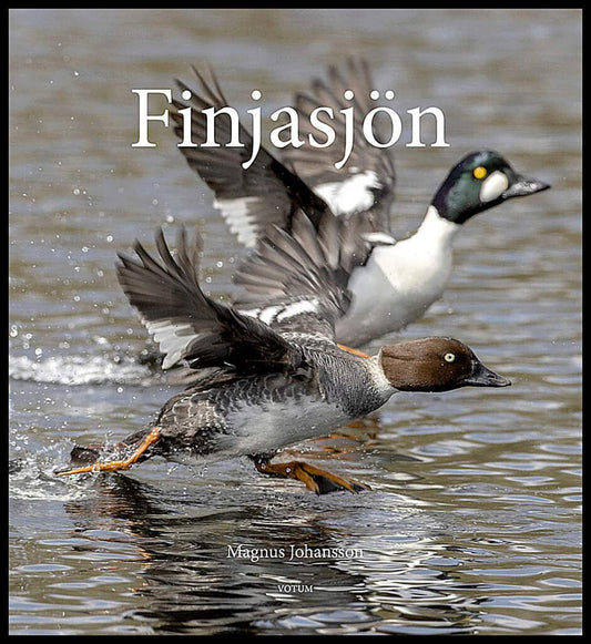 Johansson, Magnus | Finjasjön