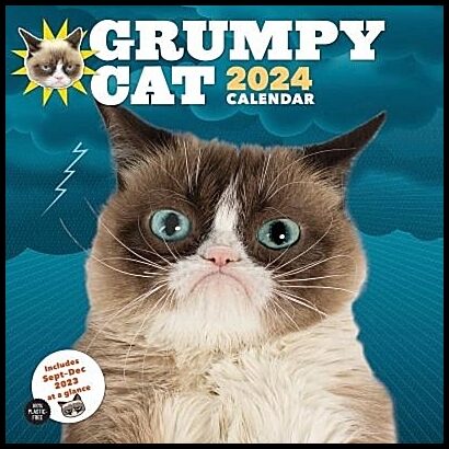 Grumpy Cat | 2024 Wall Cal : Grumpy Cat