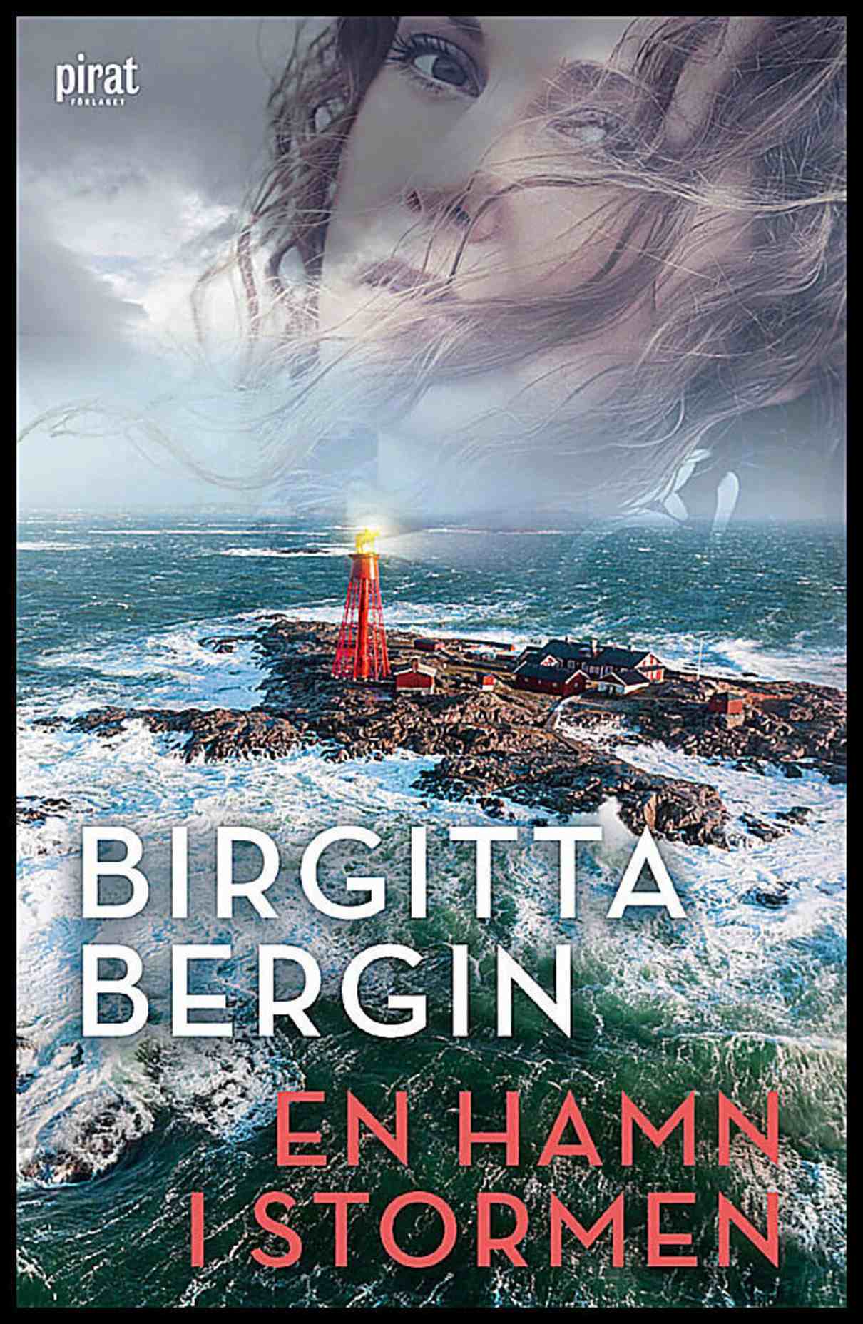 Bergin, Birgitta | En hamn i stormen