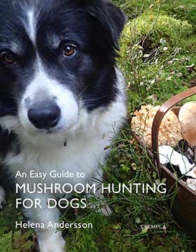 Andersson, Helena | An easy guide to mushroom hunting for dogs