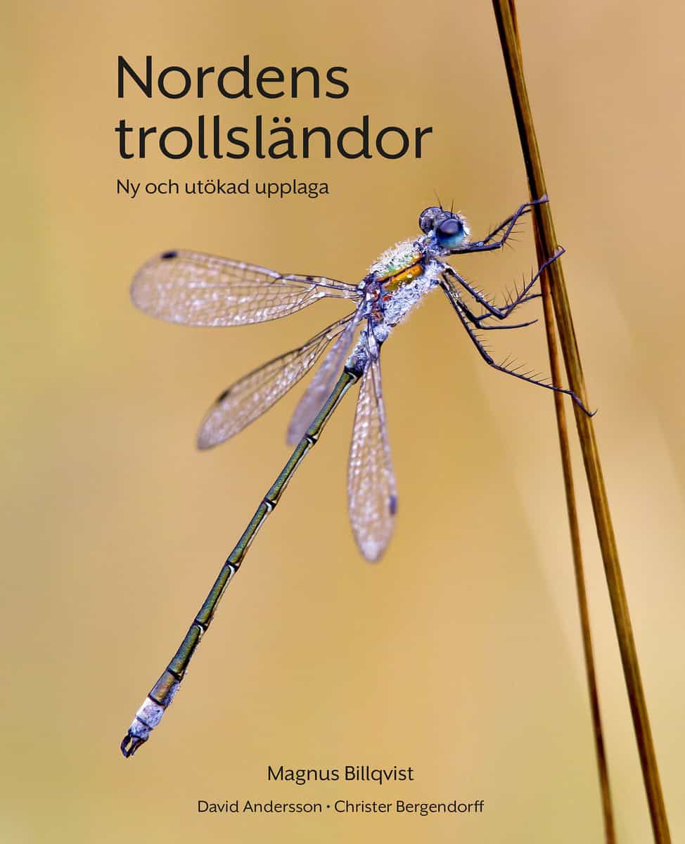 Billqvist, Magnus | Nordens trollsländor : Ny och utökad upplaga