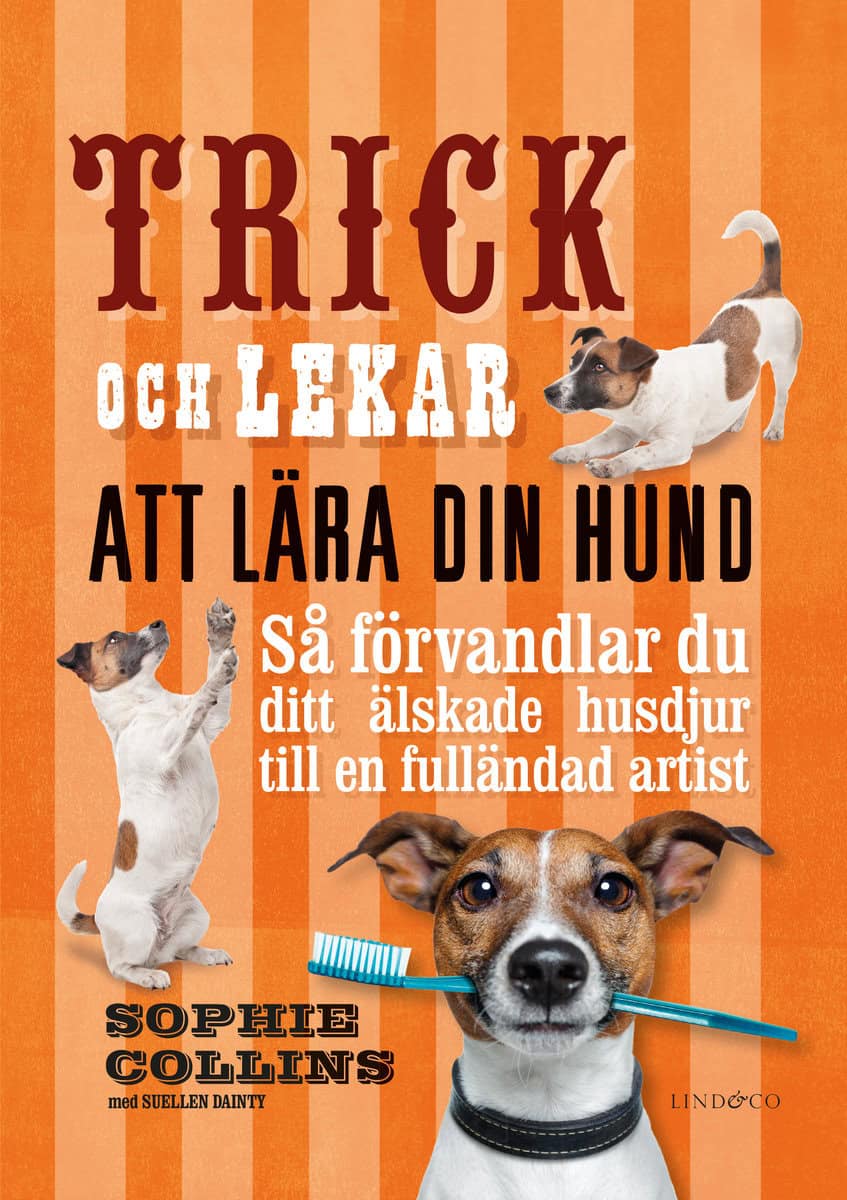 Collins, Sophie | Dainty, Suellen | Trick och lekar att lära din hund : Så förvandlar du ditt älskade husdjur..