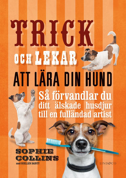 Collins, Sophie | Dainty, Suellen | Trick och lekar att lära din hund : Så förvandlar du ditt älskade husdjur..
