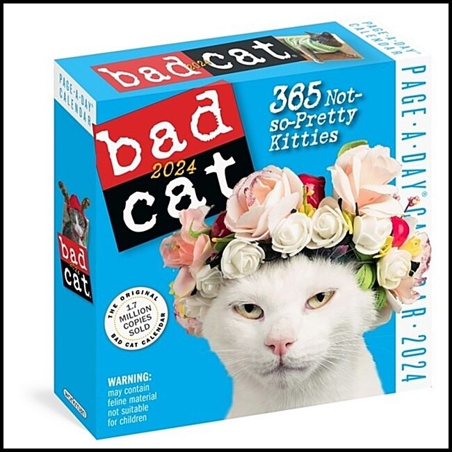 Calendars, Workman | Bad Cat Page-A-Day Calendar 2024