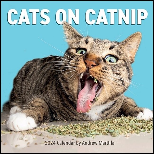 Marttila, Andrew | Cats on Catnip Wall Calendar 2024