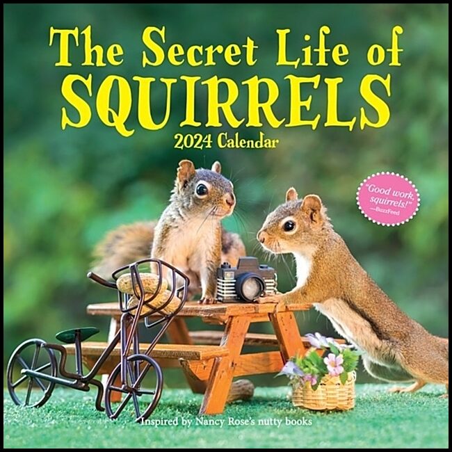 Rose, Nancy | Secret Life of Squirrels Wall Calendar 2024