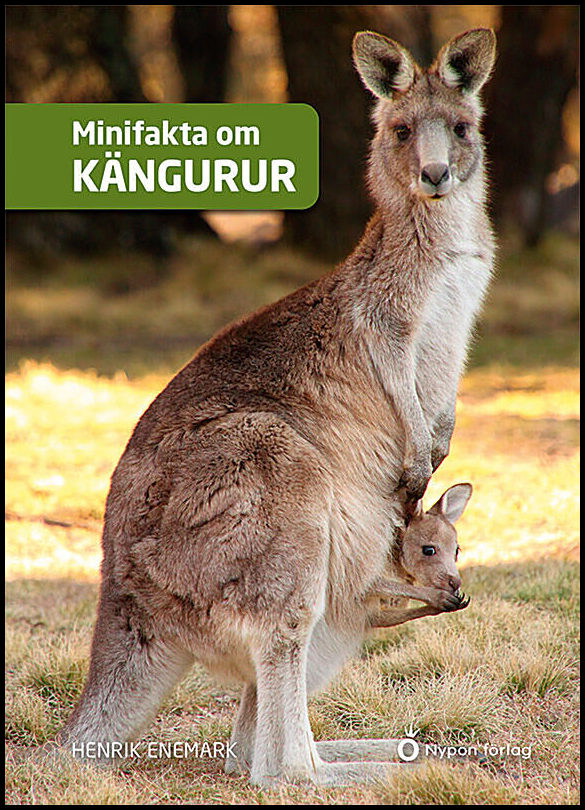 Enemark, Henrik | Minifakta om kängurur