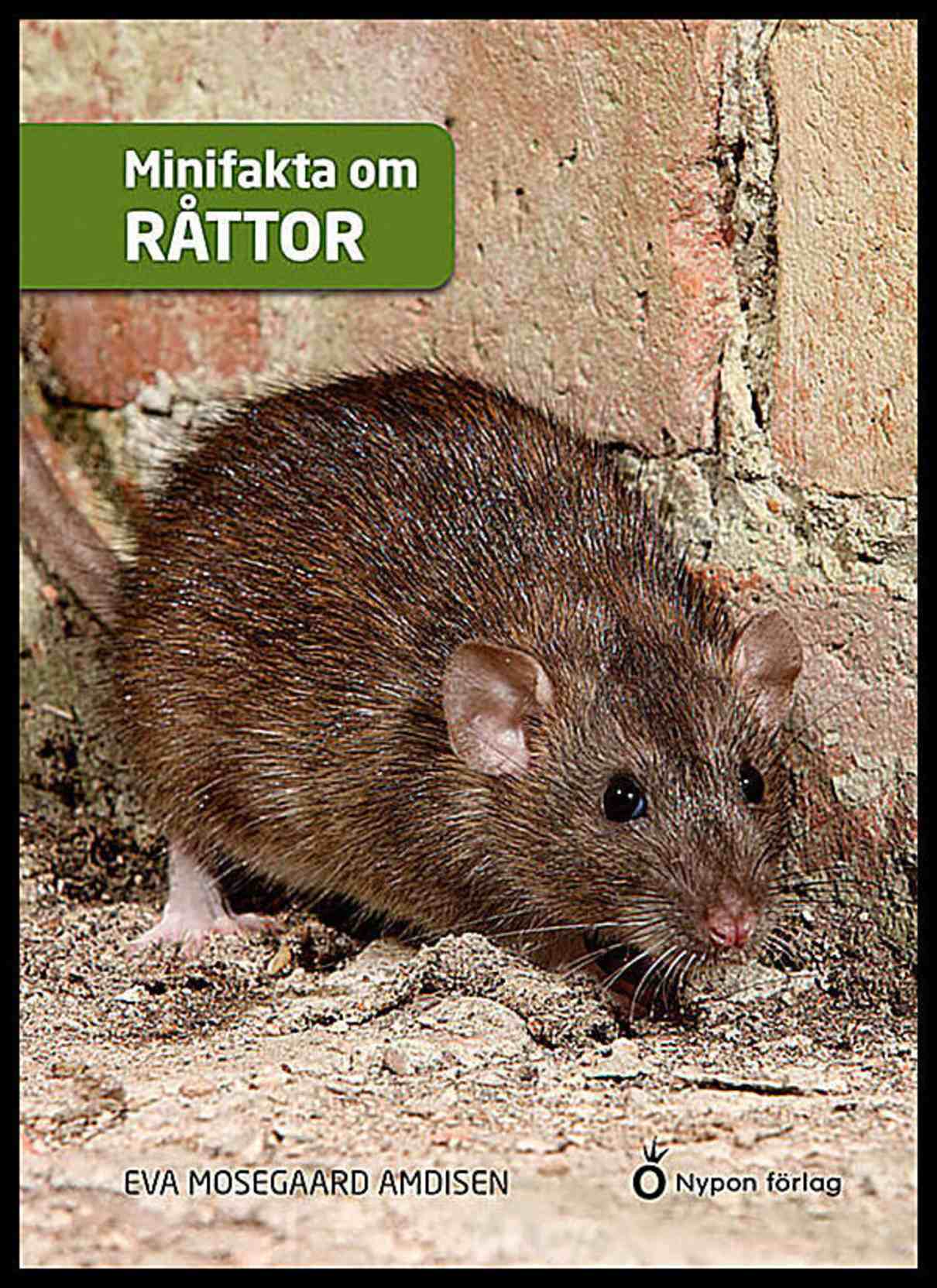 Mosegaard Amdisen, Eva | Minifakta om råttor