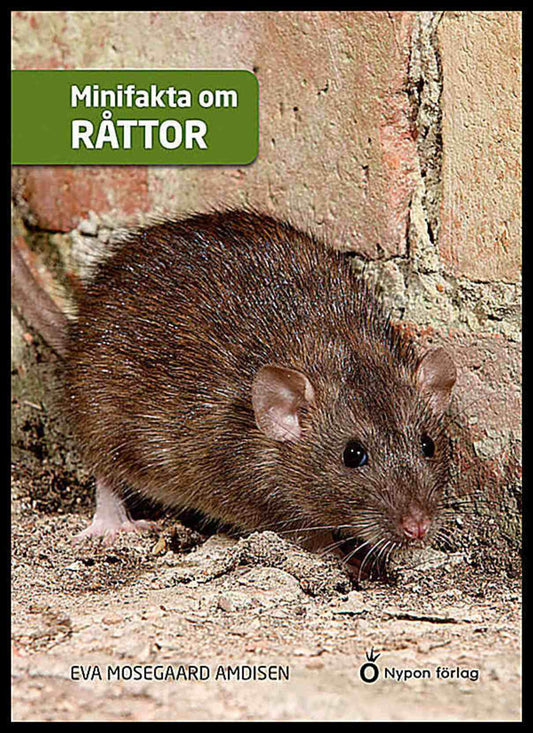 Mosegaard Amdisen, Eva | Minifakta om råttor