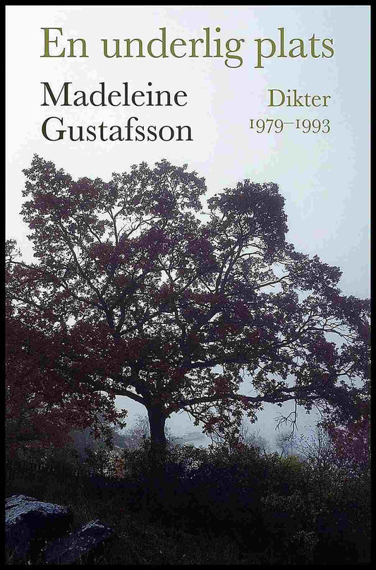 Gustafsson, Madeleine | En underlig plats : Dikter 1979-1993